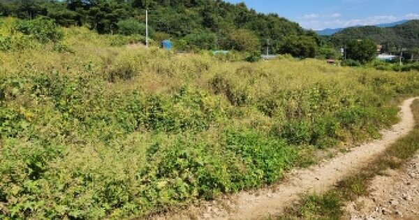 경기도 동두천시 안흥동 323-3  전 경매 물건 이미지