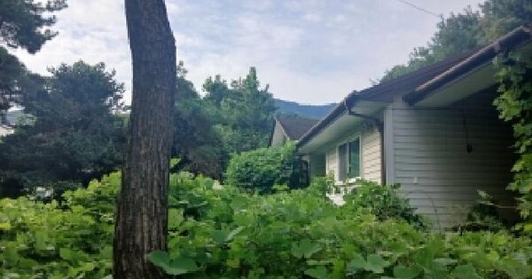 경기도 용인시 수지구 고기동 399-56  단독주택 경매 물건 이미지
