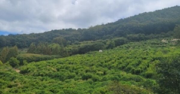 충청북도 보은군 속리산면 북암리 202-19  전 경매 물건 이미지