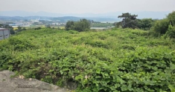 충청북도 증평군 증평읍 내성리 509  전 경매 물건 이미지