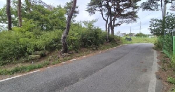 경상북도 경주시 양남면 신대리 36-5  임야 경매 물건 이미지
