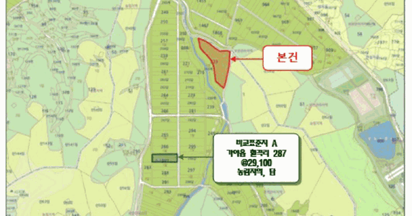 경상남도 함안군 가야읍 혈곡리 233  답 경매 물건 이미지