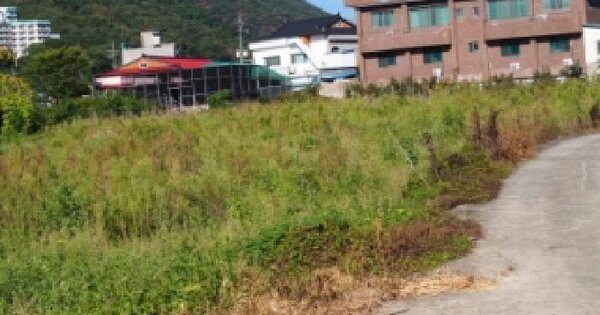경상남도 창녕군 부곡면 거문리 161-2  답 경매 물건 이미지