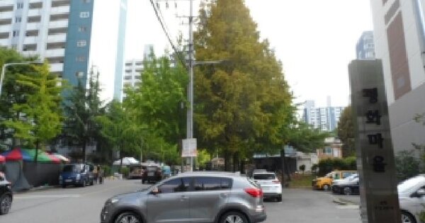 전북특별자치도 전주시 완산구 평화동1가 445-1 전주평화근로복지아파트 303동 1층111호 아파트 경매 물건 이미지