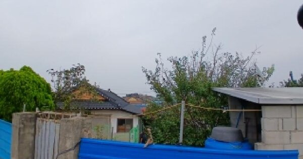 전북특별자치도 익산시 황등면 구자리 408  단독주택 경매 물건 이미지
