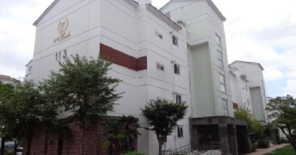 제주특별자치도 서귀포시 대정읍 보성리 2424 삼정지에듀 제113동   아파트 경매 물건 이미지