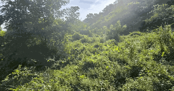 경상남도 김해시 진영읍 본산리 257  전 경매 물건 이미지
