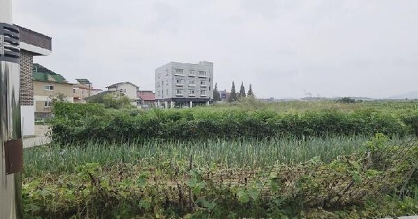 경기도 평택시 팽성읍 본정리 285-1  답 경매 물건 이미지