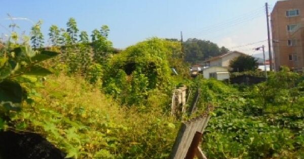 충청북도 음성군 생극면 신양리 451-11  대지 경매 물건 이미지