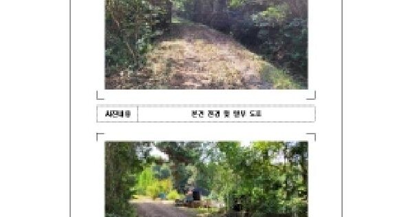 전남광주통합특별시 무안군 청계면 청천리 산102  임야 경매 물건 이미지