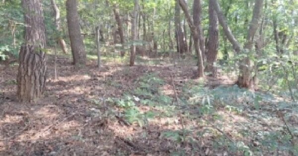 인천광역시 영종구 남북동 639-9  임야 경매 물건 이미지
