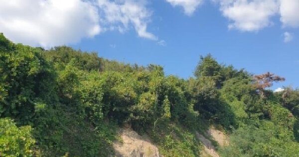 경기도 화성시 만세구 남양읍 무송리 212-59  미지정 경매 물건 이미지