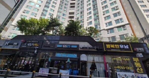 경기도 화성시 동탄구 능동 1065-2 동탄퍼스트빌스타  11층비1125호 오피스텔 경매 물건 이미지