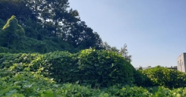 경기도 화성시 만세구 송산면 마산리 507-3  근린시설 경매 물건 이미지