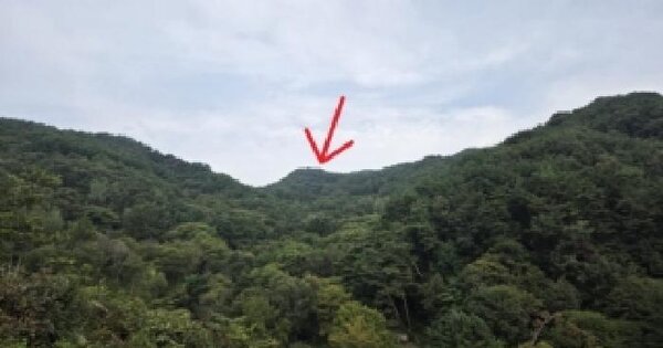 강원특별자치도 영월군 무릉도원면 두산리 산132  임야 경매 물건 이미지