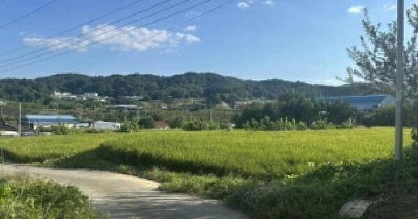 충청북도 진천군 문백면 문덕리 258  전 경매 물건 이미지