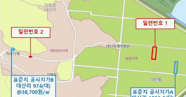경상남도 의령군 의령읍 대산리 1220-2  답 경매 물건 이미지