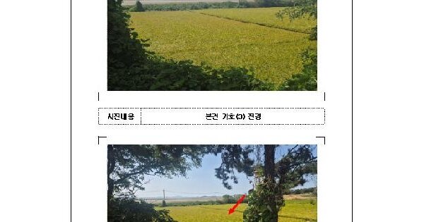 전남광주통합특별시 무안군 현경면 용정리 919-6  전 경매 물건 이미지