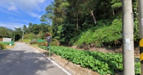강원특별자치도 평창군 평창읍 하리 218-6  전 경매 물건 이미지