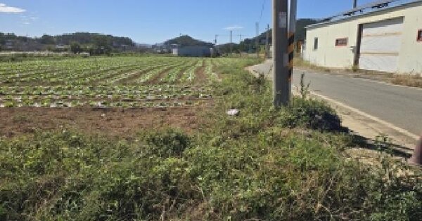 전남광주통합특별시 완도군 고금면 덕암리 752-1  답 경매 물건 이미지