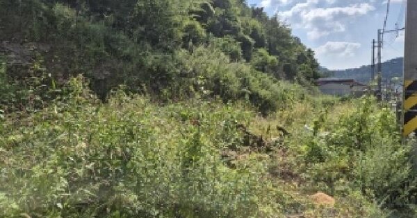 전남광주통합특별시 동구 소태동 산259-20  임야 경매 물건 이미지