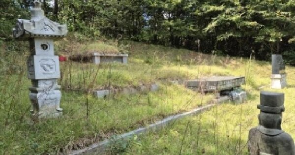 전남광주통합특별시 장성군 북이면 모현리 151-1  과수원 경매 물건 이미지