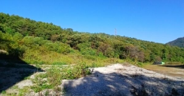 경기도 양주시 백석읍 기산리 373  답 경매 물건 이미지