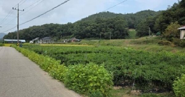 충청남도 예산군 광시면 장신리 789  답 경매 물건 이미지