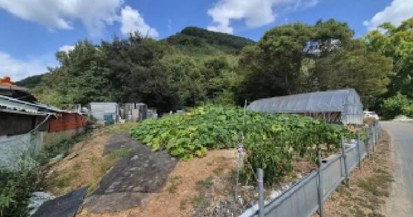 충청남도 금산군 복수면 신대리 425-6  대지 경매 물건 이미지