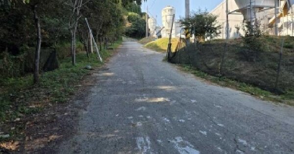 충청남도 아산시 음봉면 산정리 204-15  동물 및 식물 관련시설 경매 물건 이미지