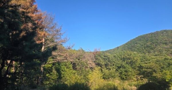 경상남도 양산시 원동면 화제리 660-1  임야 경매 물건 이미지