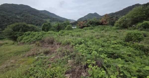 경상남도 창원시 의창구 북면 내곡리 산103-4  임야 경매 물건 이미지