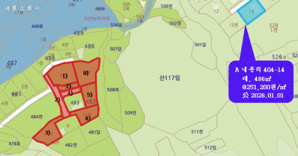 경상남도 김해시 진영읍 내룡리 483-4  전 경매 물건 이미지
