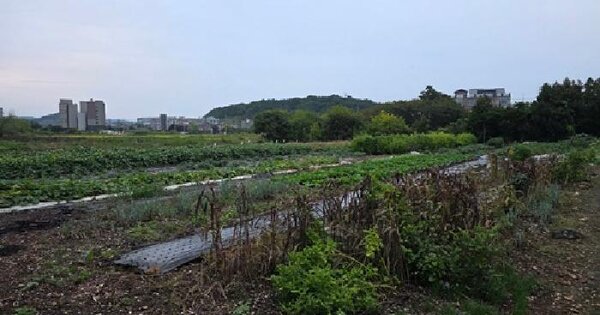 경상남도 사천시 사남면 초전리 668-2  전 경매 물건 이미지