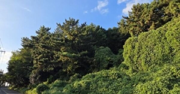 경상남도 남해군 서면 정포리 산94-9  임야 경매 물건 이미지