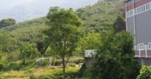 경상남도 밀양시 삼랑진읍 우곡리 643  답 경매 물건 이미지