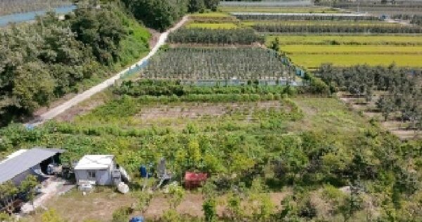 경상남도 거창군 웅양면 동호리 481-3  단독주택 경매 물건 이미지