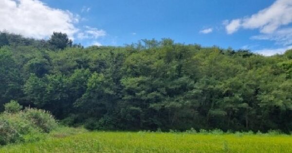 전북특별자치도 남원시 아영면 아곡리 산103  임야 경매 물건 이미지