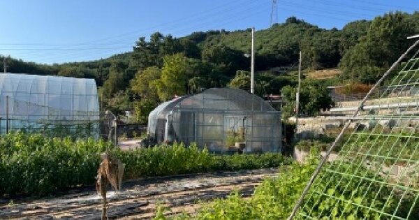 전북특별자치도 고창군 아산면 대동리 542 주1동  단독주택 경매 물건 이미지
