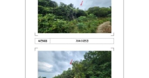 전남광주통합특별시 신안군 안좌면 대우리 산96  임야 경매 물건 이미지