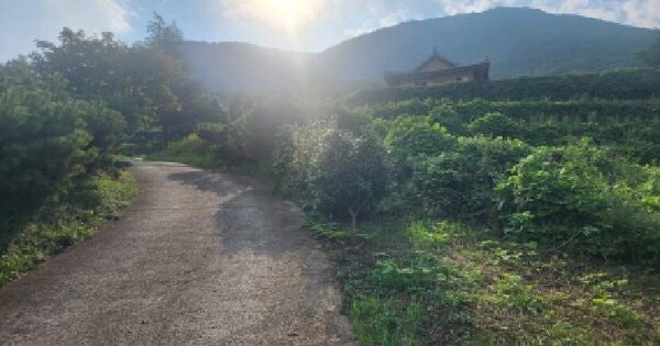 전남광주통합특별시 고흥군 영남면 우천리 26-1  문화 및 집회시설 경매 물건 이미지