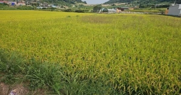 전남광주통합특별시 해남군 화원면 마산리 886-6  답 경매 물건 이미지