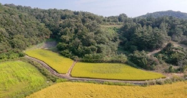 경상남도 합천군 율곡면 갑산리 368  전 경매 물건 이미지