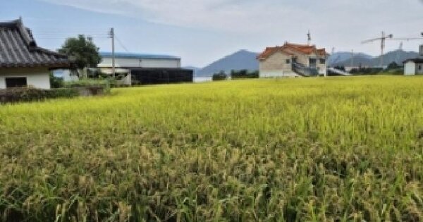 경상남도 고성군 동해면 장기리 246-1  전 경매 물건 이미지