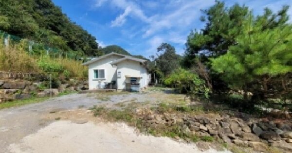 강원특별자치도 평창군 평창읍 임하리 84-4  분뇨 및 쓰레기처리시설 경매 물건 이미지