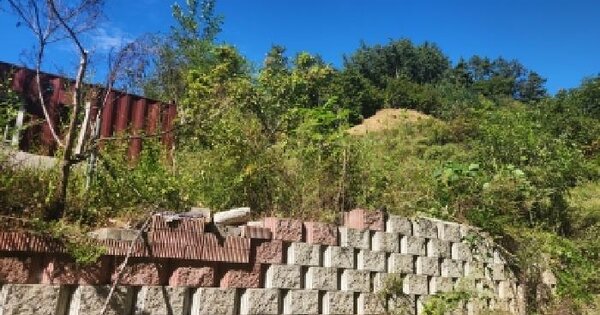경기도 가평군 청평면 하천리 산93-6  임야 경매 물건 이미지