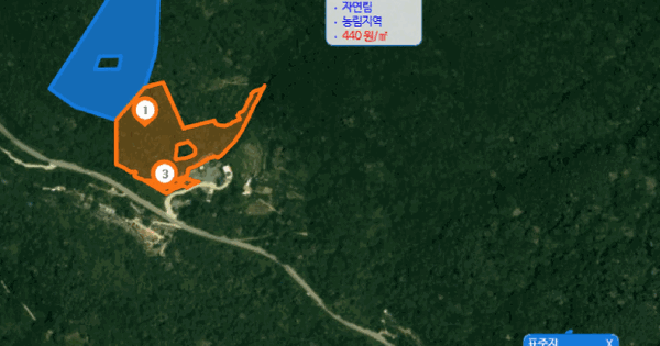 경상북도 청도군 매전면 송원리 산91  임야 경매 물건 이미지