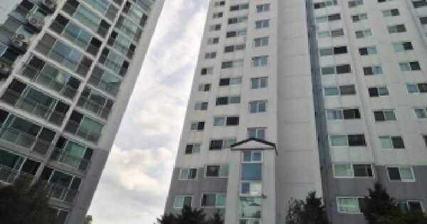 경상북도 포항시 북구 장성동 1455-1 장성동롯데아파트 105동 16층 1601호 아파트 경매 물건 이미지