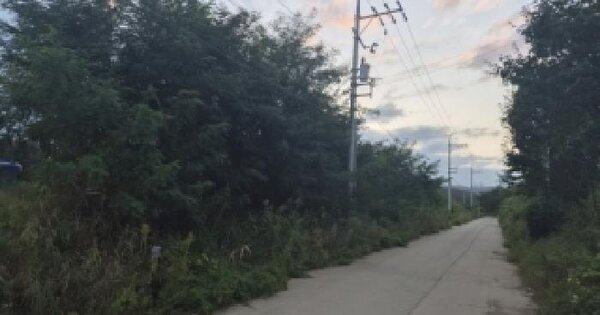 경상북도 포항시 북구 흥해읍 초곡리 96-2  답 경매 물건 이미지