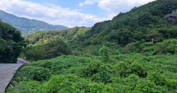 경상남도 하동군 하동읍 흥룡리 427  답 경매 물건 이미지